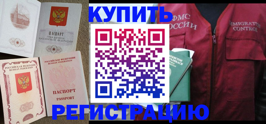 пропишу в квартире в Светлогорске